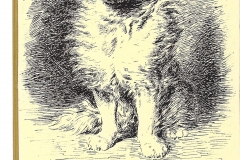 12 Loulou. Da "Les chiens et les chats". Paris 1888
