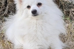 evita
