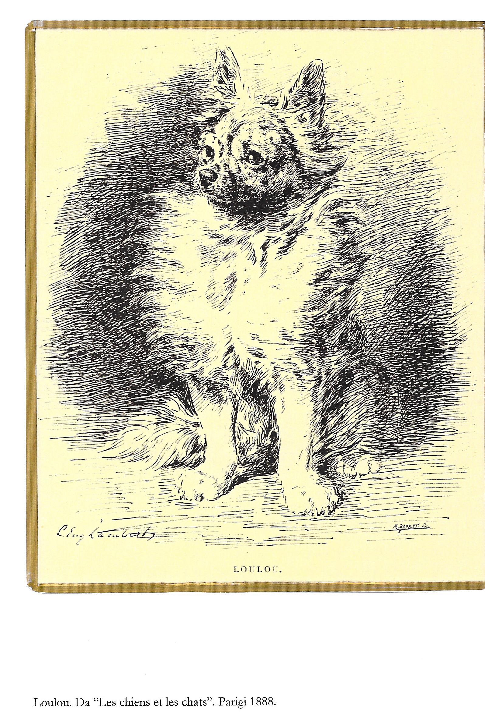 12 Loulou. Da "Les chiens et les chats". Paris 1888