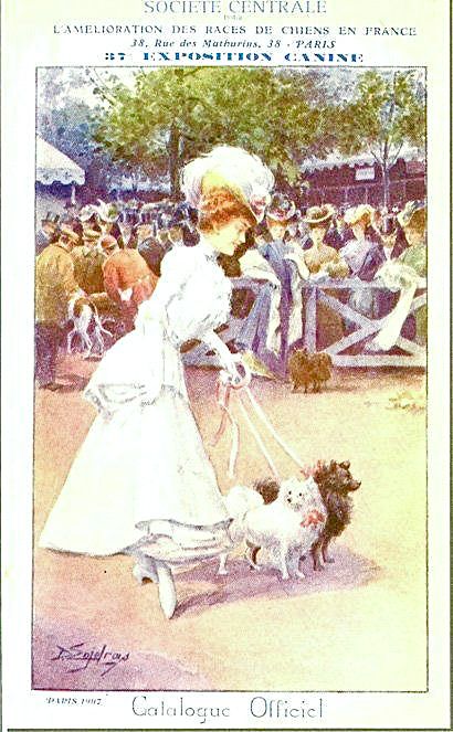 Paris-1907-37^-Exposition-Canine-LAméloration-des-Races-de-Chiens-en-France-Societè-Canine