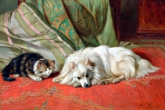 Come-and-Play Wright Barker